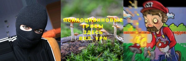 крисы Гусев