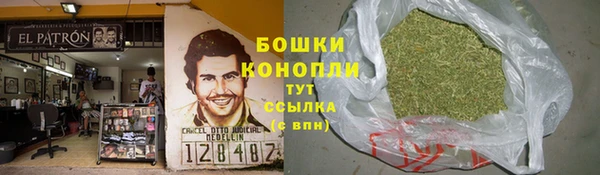 стафф Гусиноозёрск