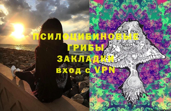 крисы Гусев