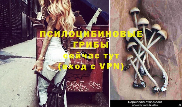 кокаин перу Гусь-Хрустальный