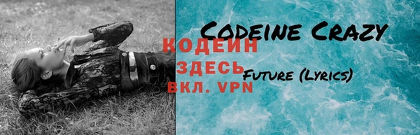 крисы Гусев