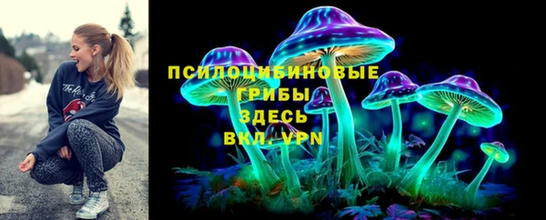 крисы Гусев