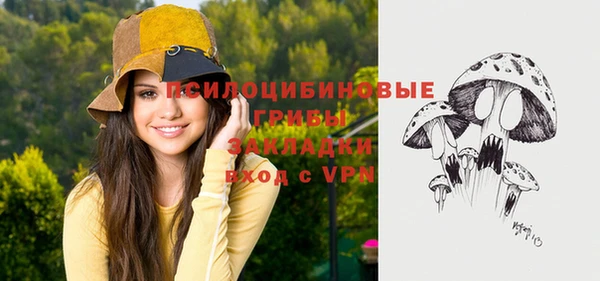 стафф Гусиноозёрск
