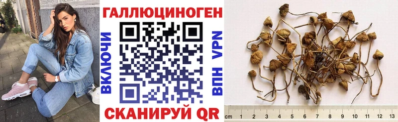 как найти   Таганрог  Галлюциногенные грибы прущие грибы 